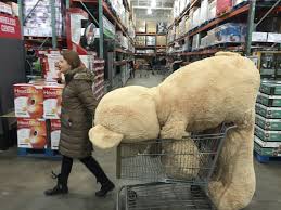 Oversized stuffed bear being carted through a big box store illustrates the marketing scandal of valentines day, as Marie Deveaux career coach discusses self love as the highest love.