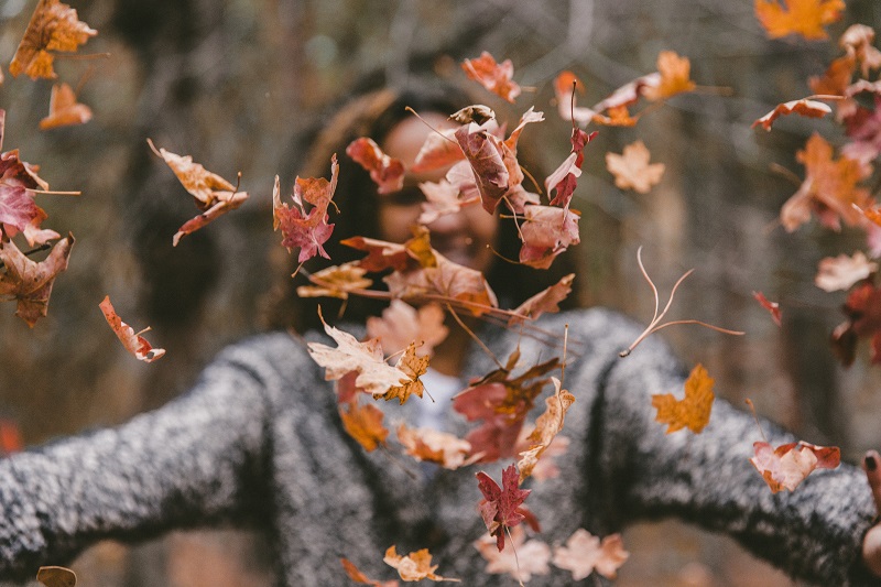 Small Business Momentum To Propel You Through the Holidays