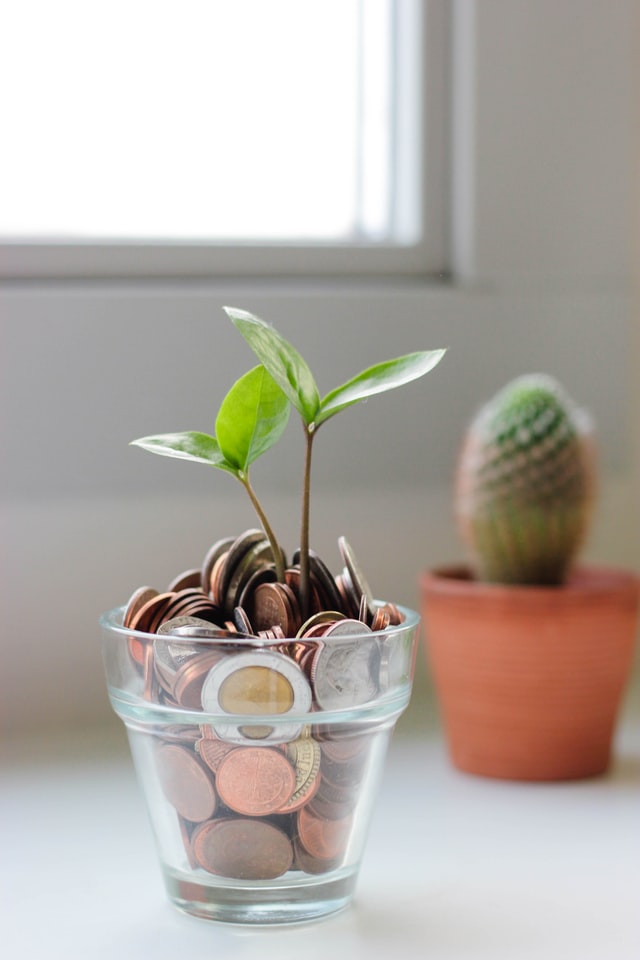 growth