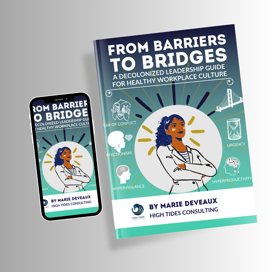 From Barriers to Bridges book cover 4 Image of From Barriers to Bridges book cover